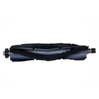 Main Brush