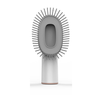 Cleaning Brush