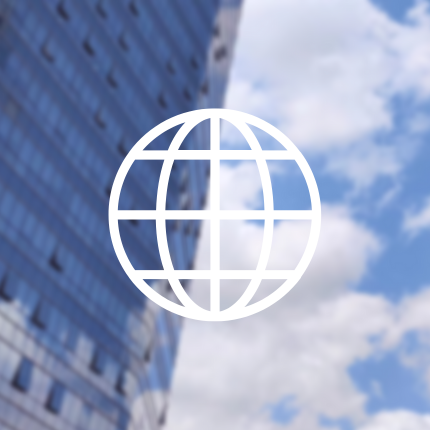 30+ Global Footprint