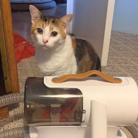 The vacuum is very cute and aesthetically pleasing but most of all, it works.The vacuum is very cute and aesthetically pleasing but most of all, it works.