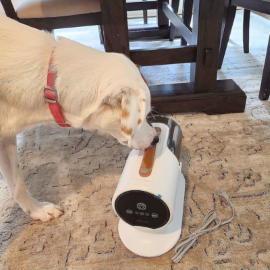 1 day in we have vacuumed the dog twice. Once she got use to the vacuum sound, she did great.